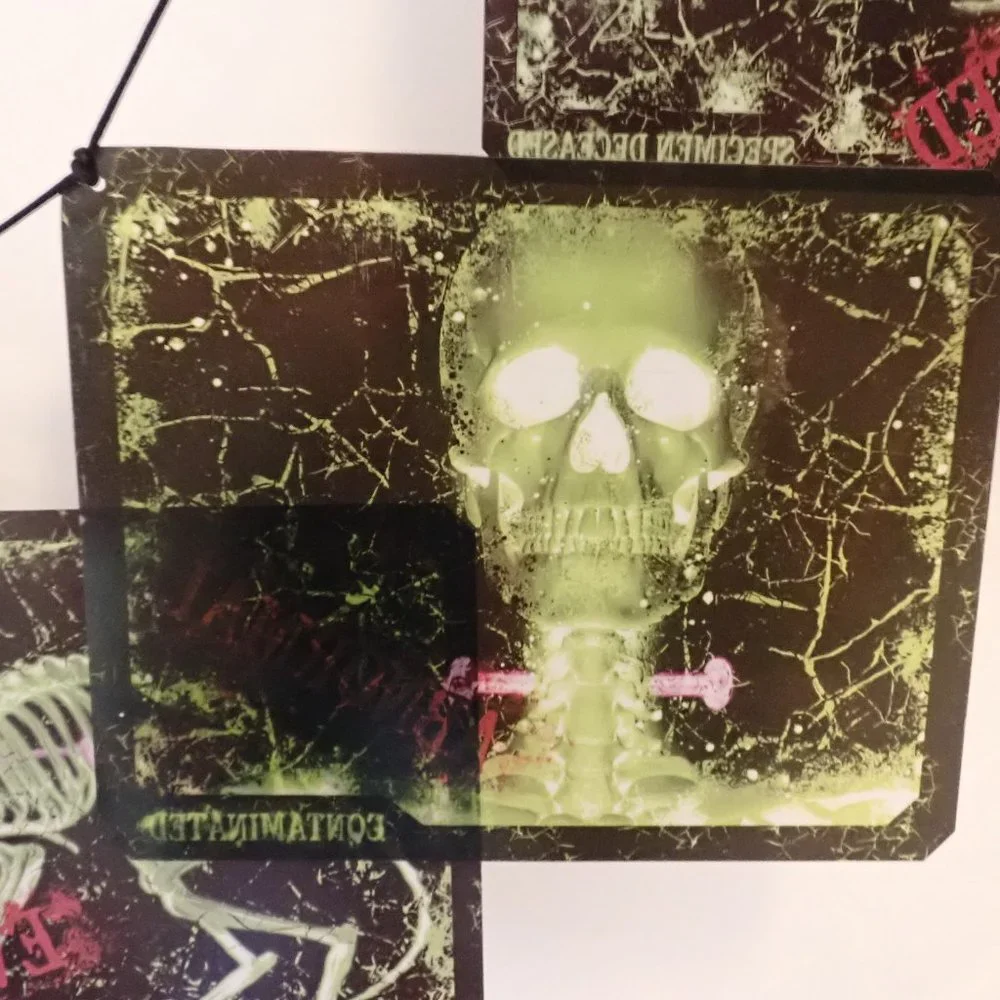 Department56 Halloween X-RAYS/Hanging Banner/Scary/6 X-Rays/70